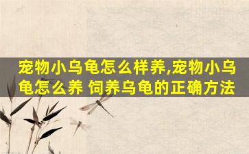 宠物小乌龟怎么样养,宠物小乌龟怎么养 饲养乌龟的正确方法